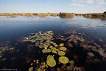 Botswana / Okavango delta