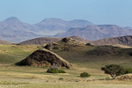 Namibie / Damaraland